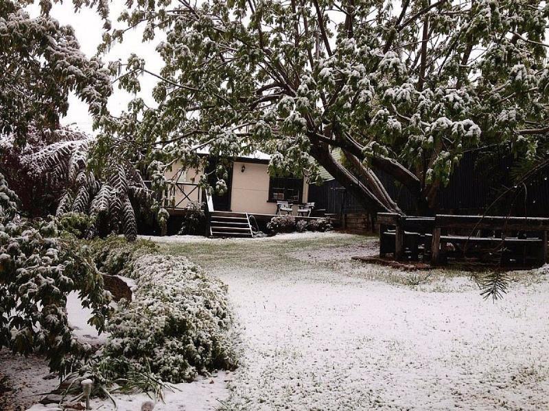 Hills Havens Cottages Leura Eksteriør billede