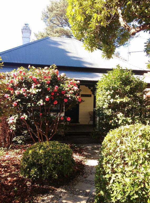 Hills Havens Cottages Leura Eksteriør billede