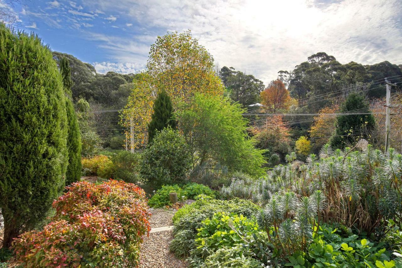 Hills Havens Cottages Leura Eksteriør billede